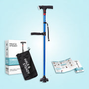 StandSecure Cane